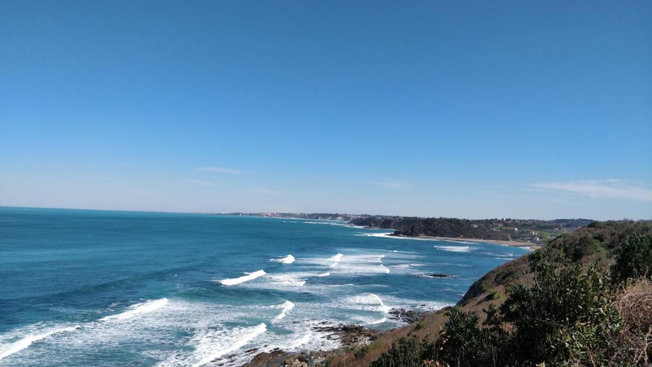 T1 Ou T2 Dans Villa Avec Jardin Proche Biarritz Англет Екстер'єр фото