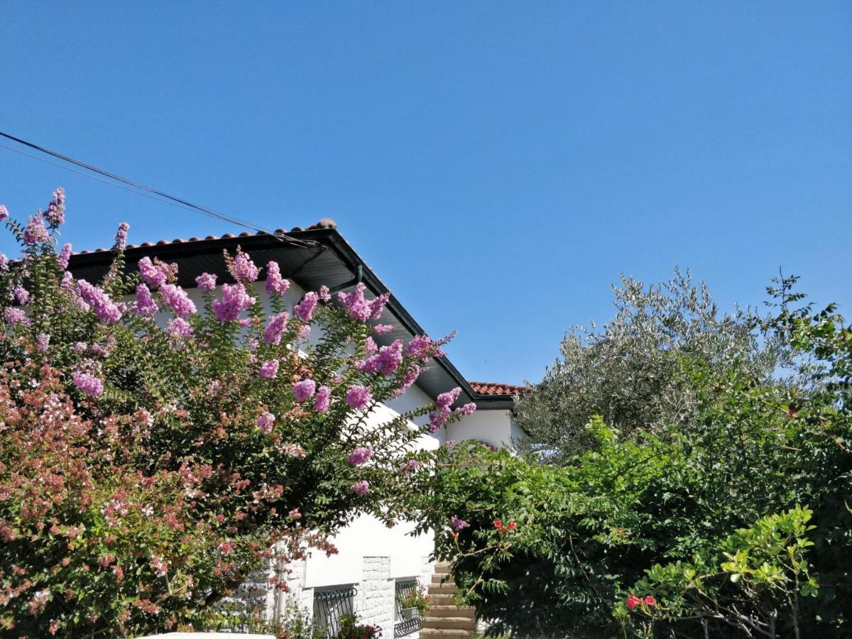 T1 Ou T2 Dans Villa Avec Jardin Proche Biarritz Англет Екстер'єр фото
